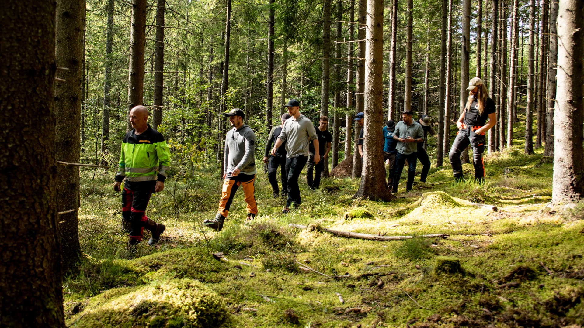 Natur- och Kulturhänsynskurser - Avverkning, Röjning, Plantering, Dikesrensning och Markberedning