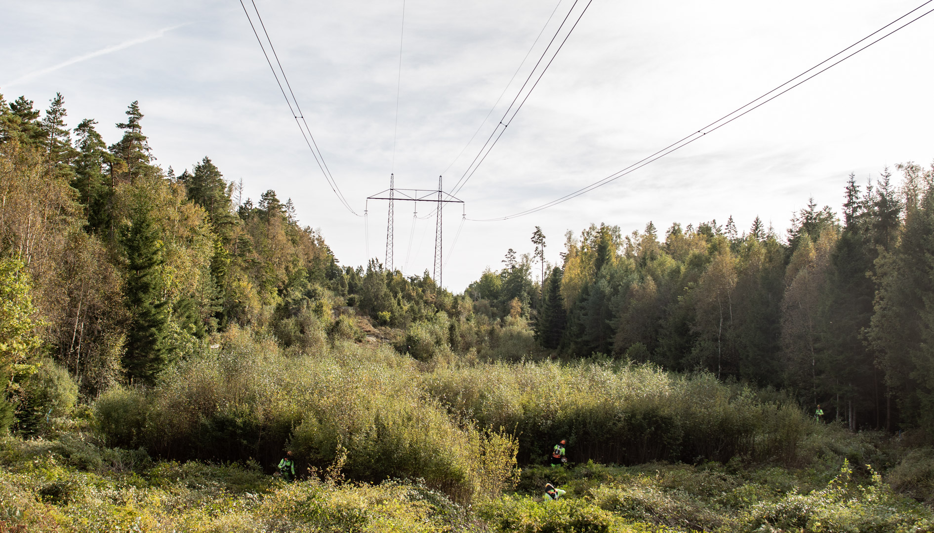 EBR-ESA-E3 Röjning ledningsgata